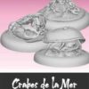 Crabes de la mer