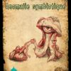 Anomalie Symbiotique (modèle au choix) – Image 10