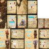 Coffret Aberration totémique – Image 3