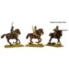 Perry Miniatures - Light Cavalry 1450-1500 – Image 2