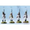 Perry Miniatures - Napoleonic  Austrian ‘German’ Infantry – Image 2
