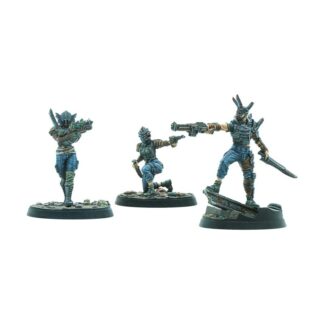 RAIDERS - DISCIPLES LEADERS