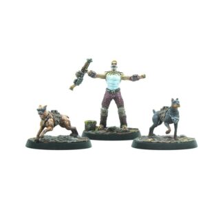 RAIDERS - PACK TOP DOGS
